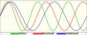 biorritmos