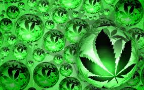 cannabis